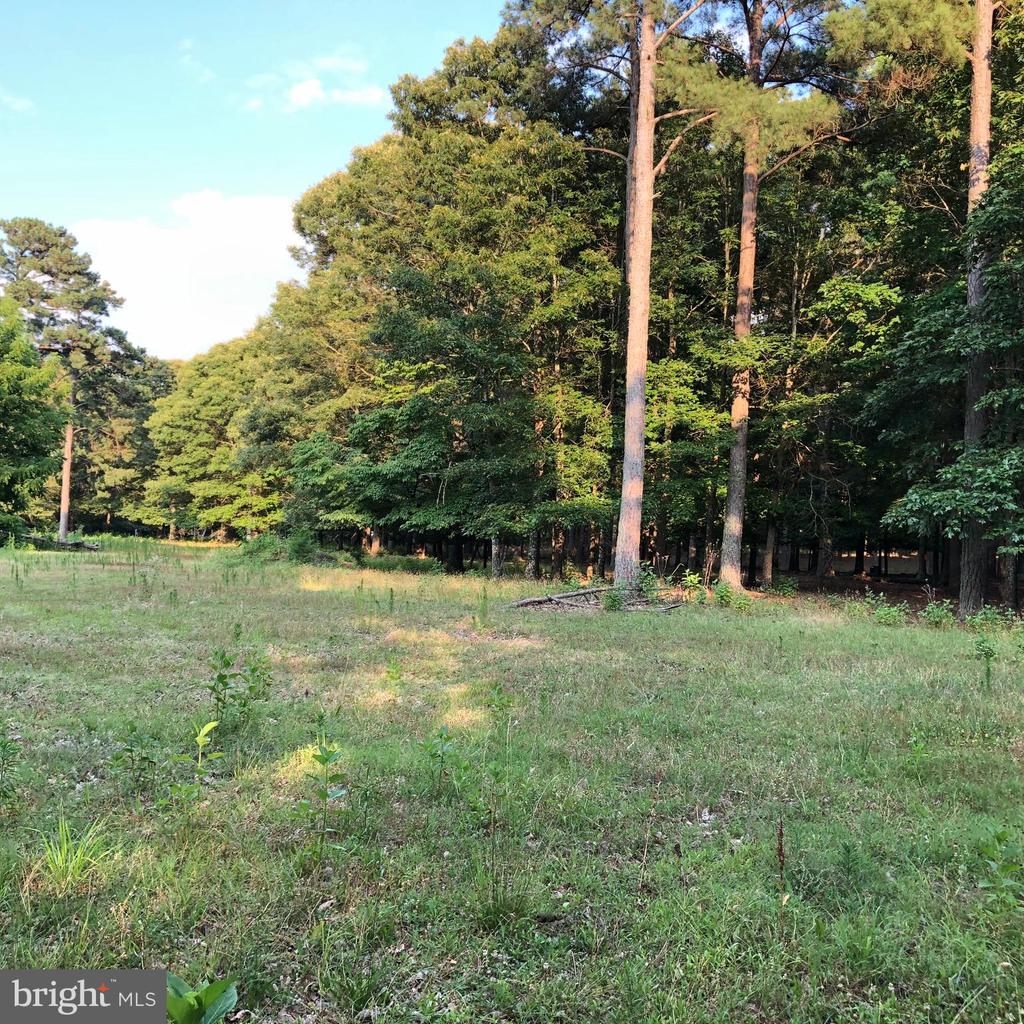 26373 TIDEWATER TRAIL