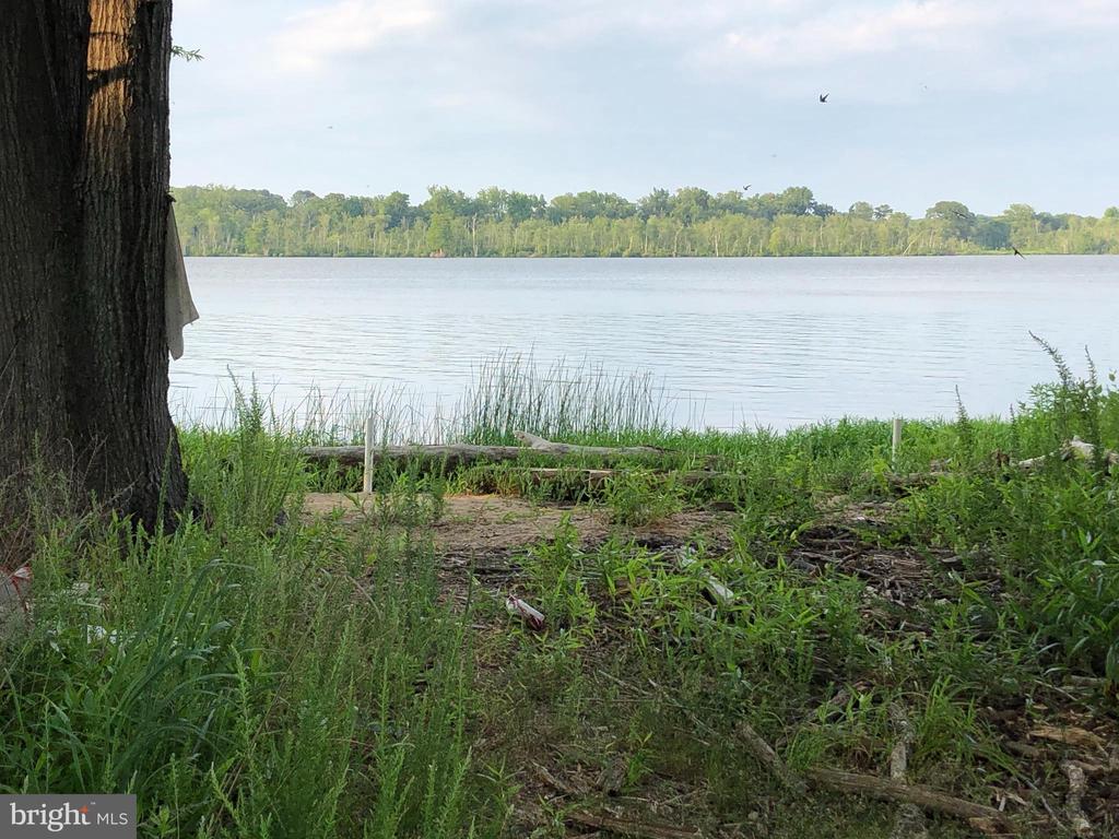 26373 TIDEWATER TRAIL