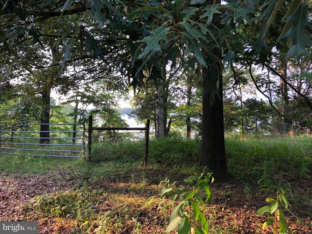 26373 TIDEWATER TRAIL