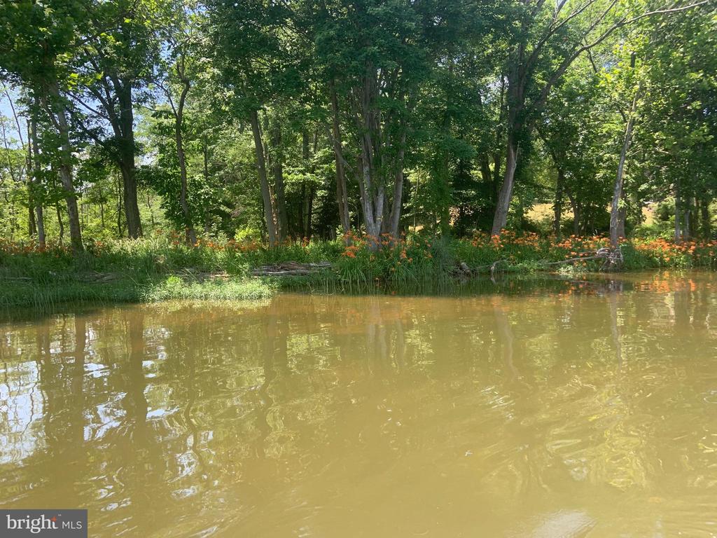 26373 TIDEWATER TRAIL