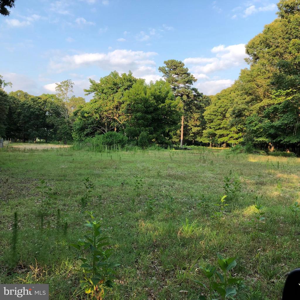 26373 TIDEWATER TRAIL