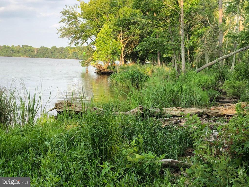 26373 TIDEWATER TRAIL
