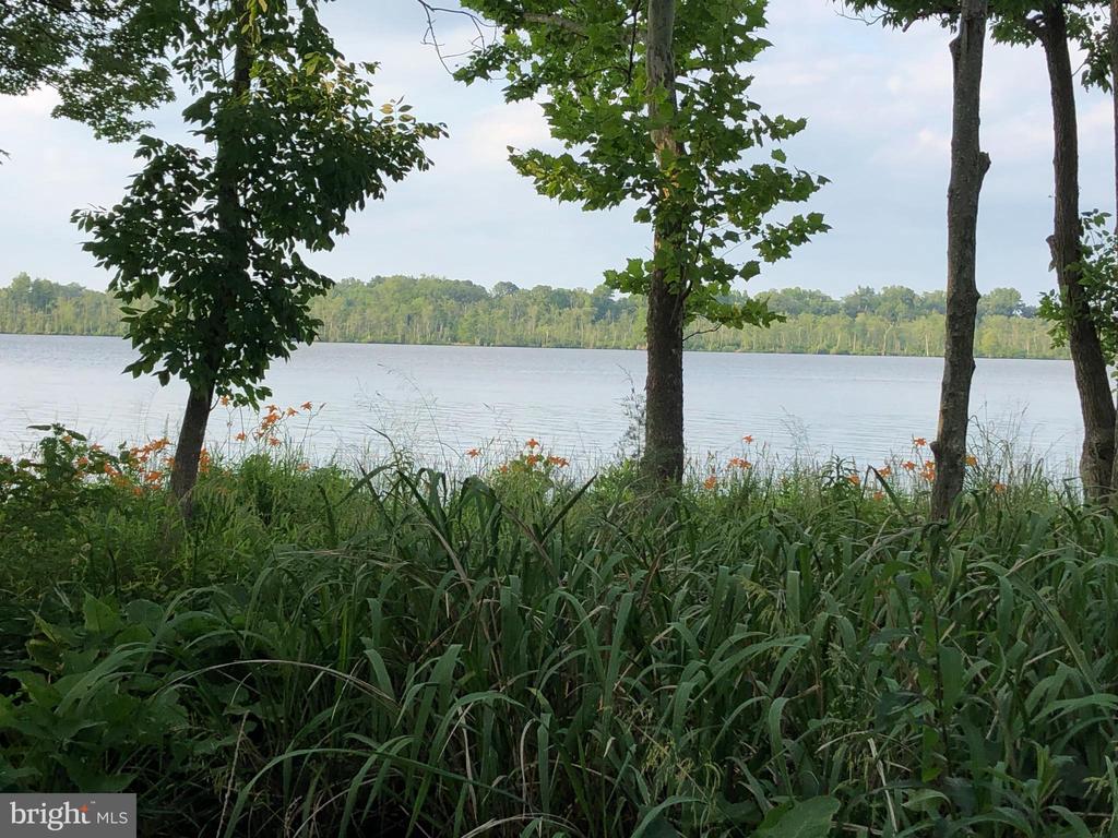 26373 TIDEWATER TRAIL