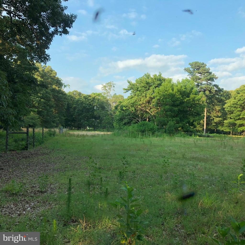 26373 TIDEWATER TRAIL