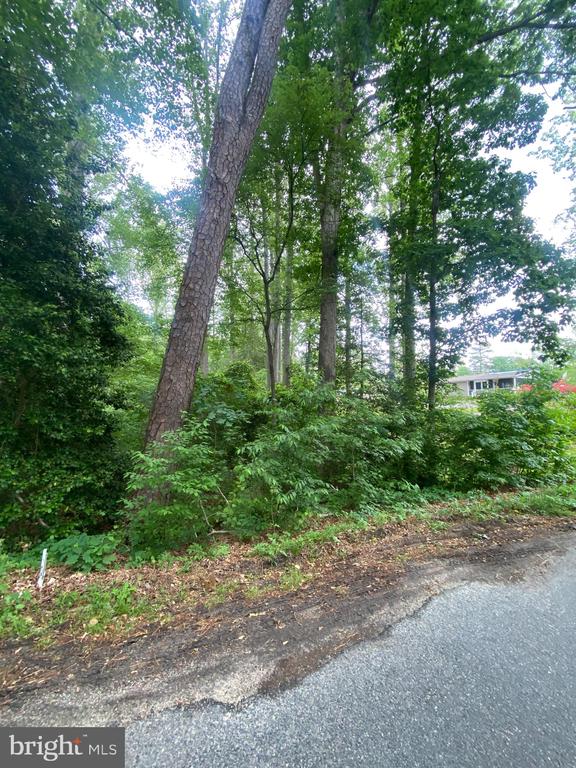 DRY BRIDGE RD