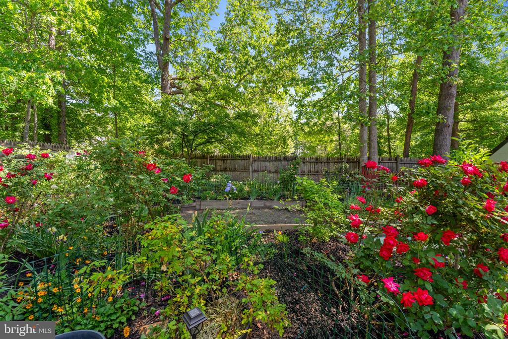 26275 SHANNON MILL DRIVE