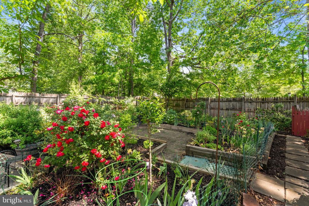 26275 SHANNON MILL DRIVE