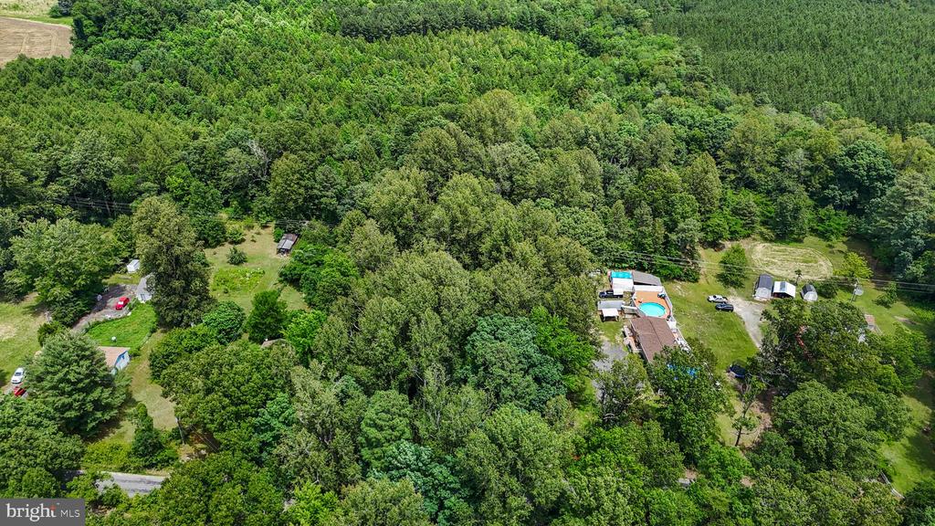 14589 DRY BRIDGE ROAD