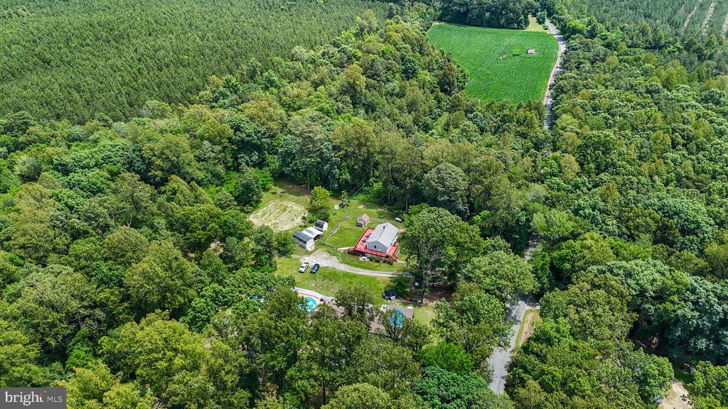 14589 DRY BRIDGE ROAD