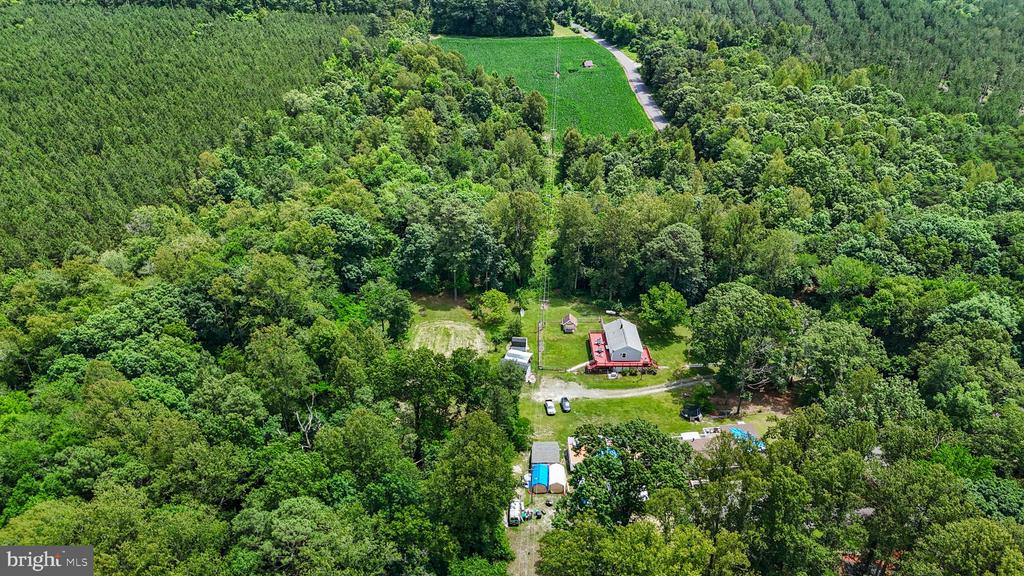 14589 DRY BRIDGE ROAD