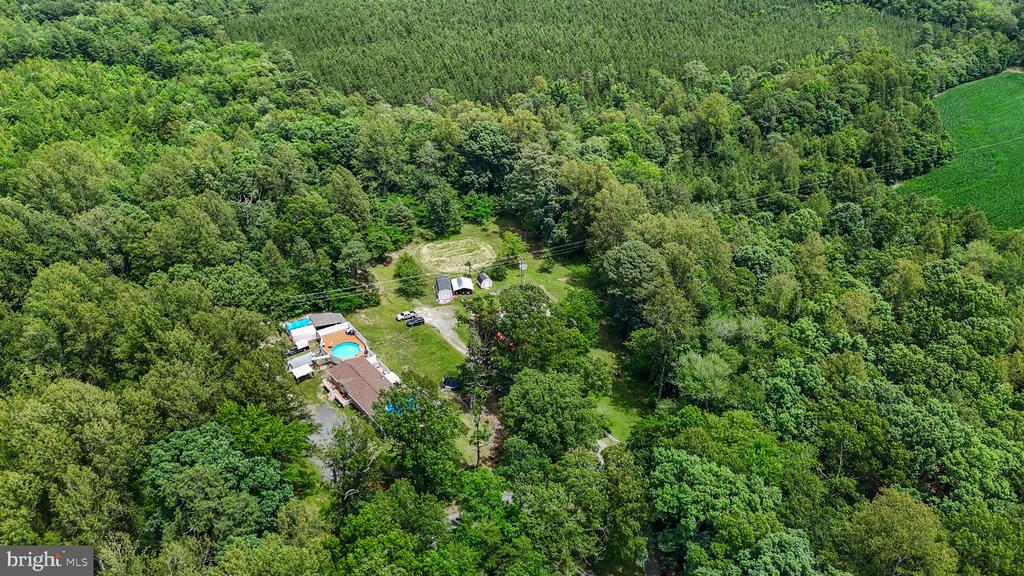 14589 DRY BRIDGE ROAD