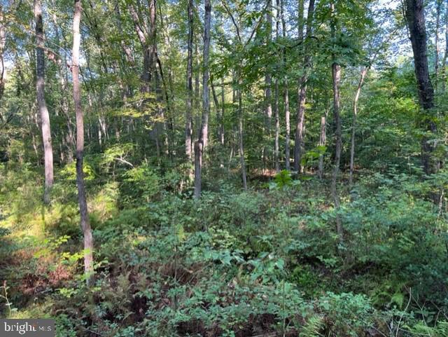 CHILESBURG ROAD