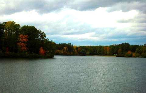 4 STAFFORD COVE