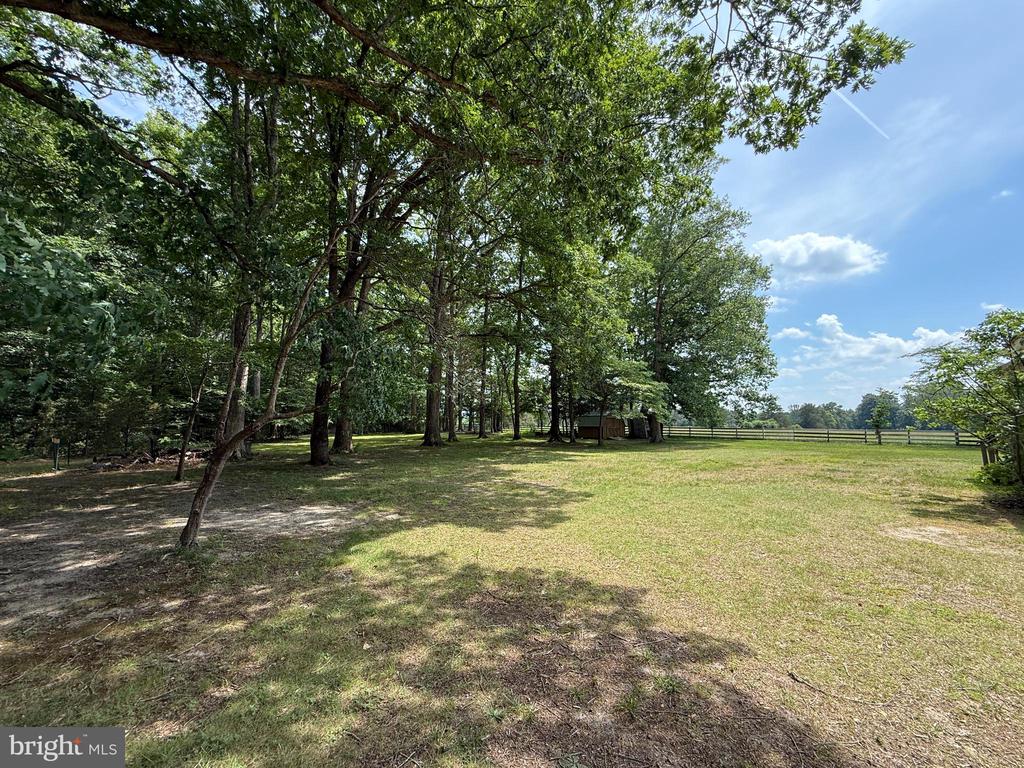 14192 DEVILS THREE JUMP ROAD