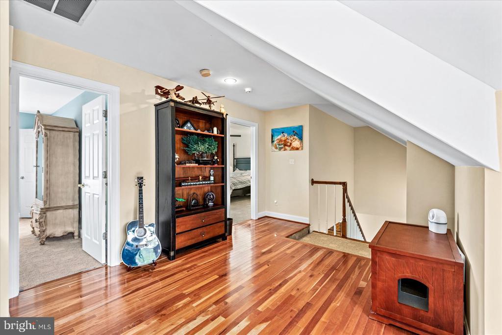 29475 GOOSE POINT COURT