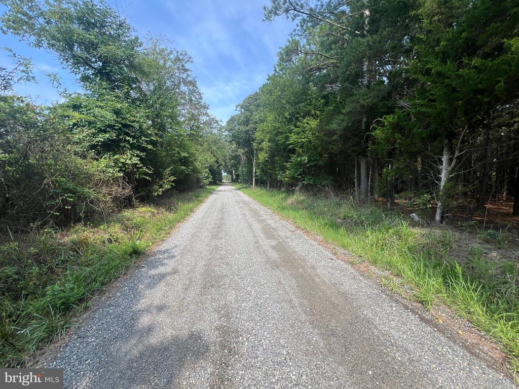 0 TIDEWATER TRAIL
