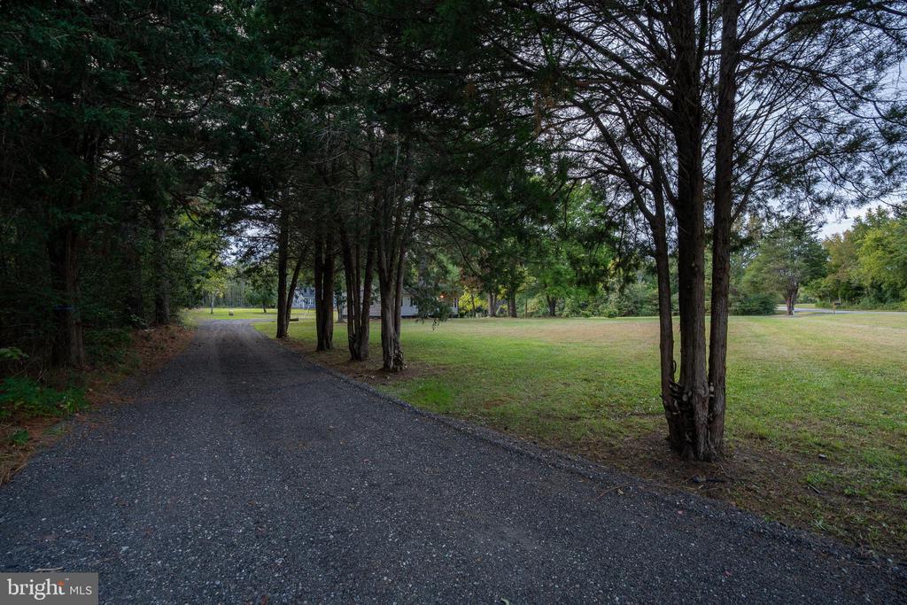 10558 TIDEWATER TRAIL