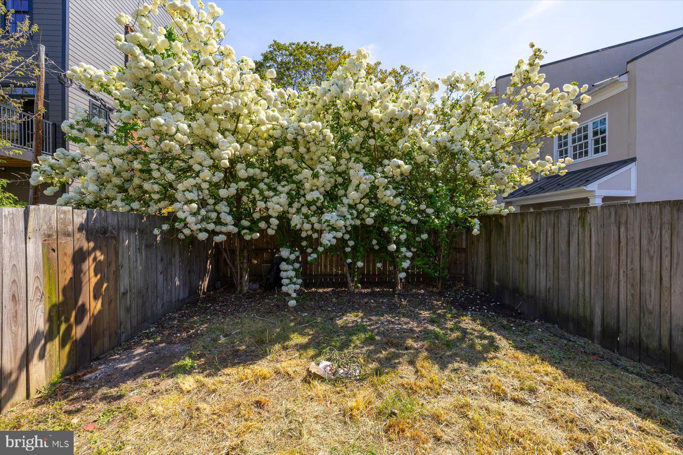 509 CAROLINE STREET