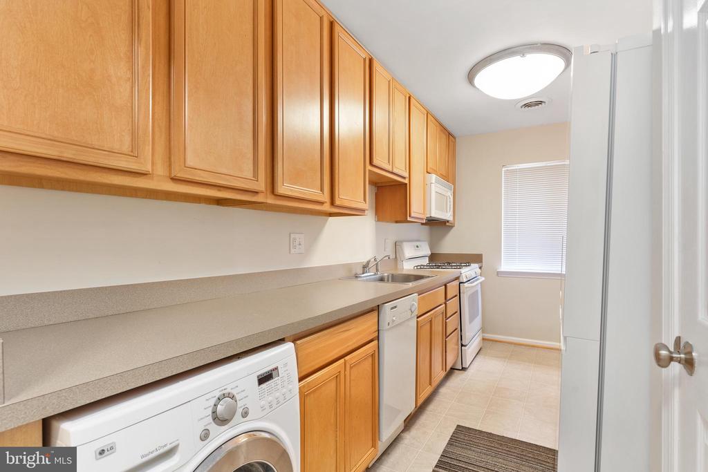 1805 WILLIAM STREET 207B