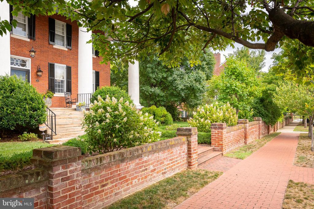 307 AMELIA STREET