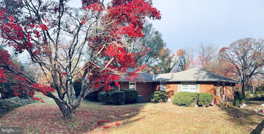 117 COURTLAND DRIVE 3