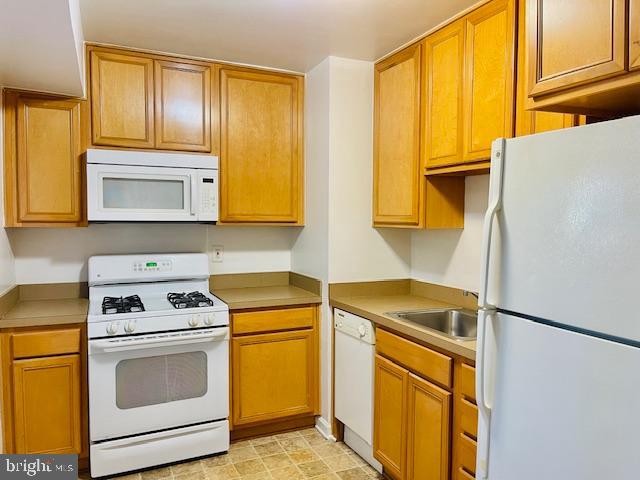 1805 WILLIAM STREET B7