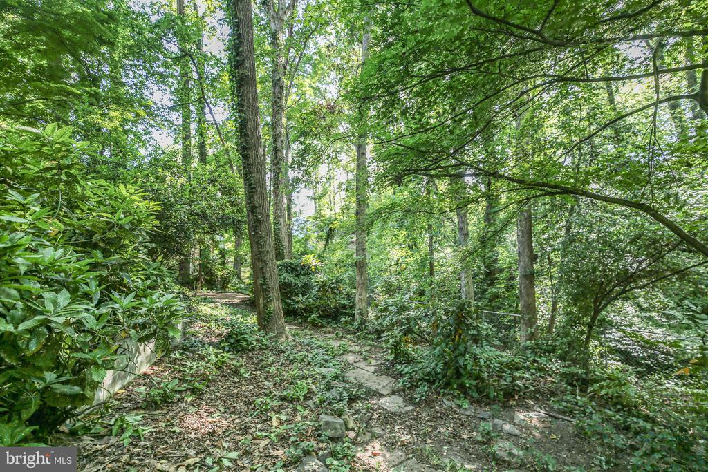207 WILDERNESS LANE