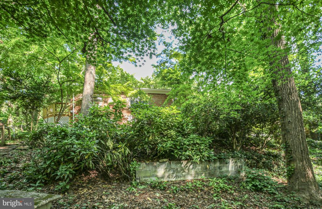 207 WILDERNESS LANE