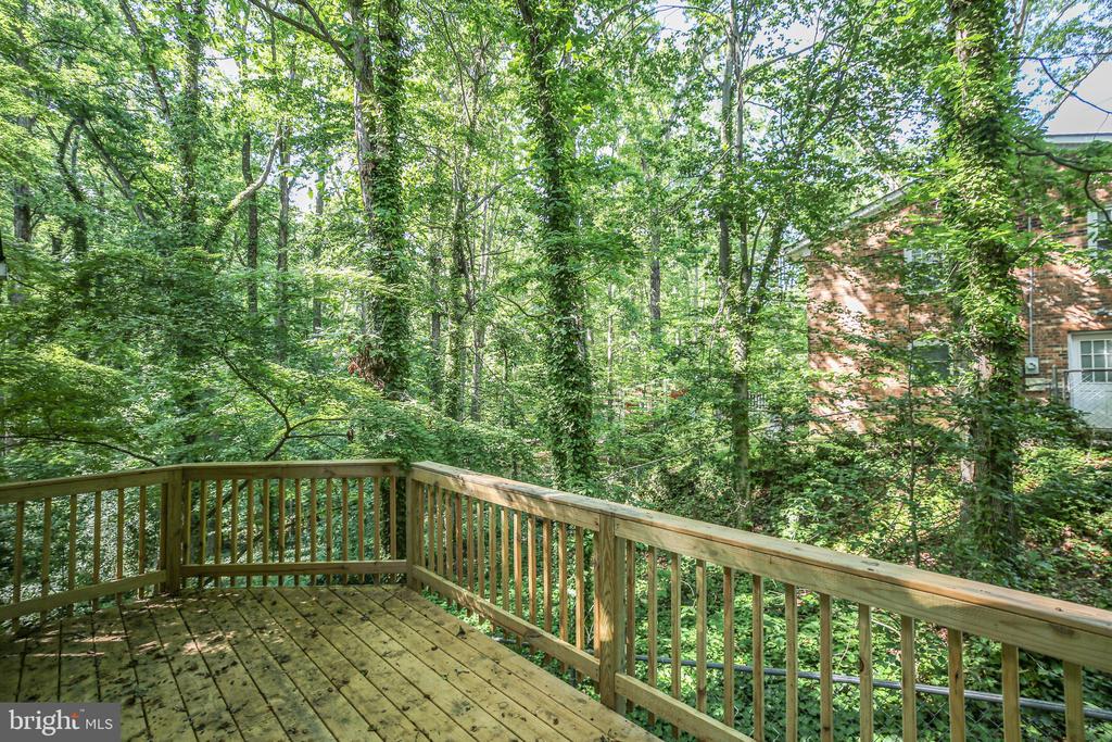 207 WILDERNESS LANE