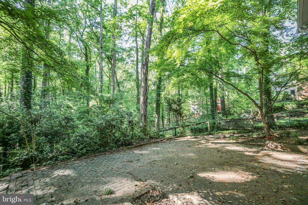 207 WILDERNESS LANE