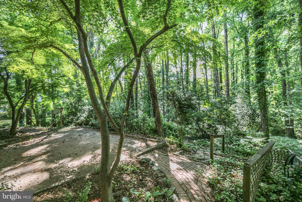 207 WILDERNESS LANE