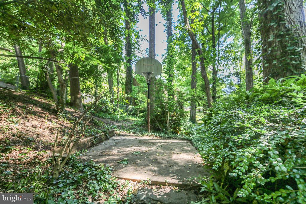 207 WILDERNESS LANE