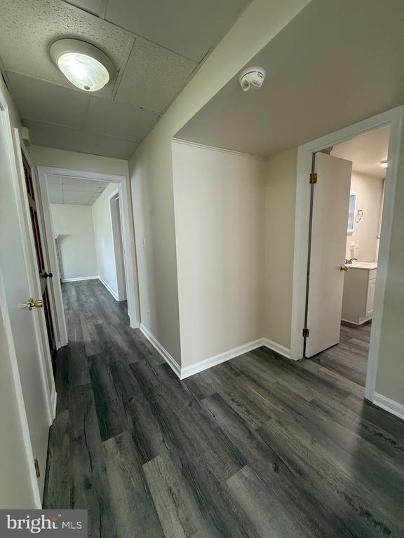 1212 PAYNE STREET B- LOWER UNIT