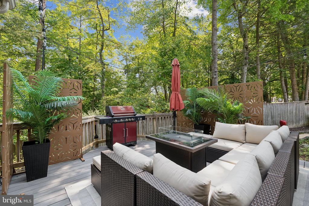 8740 SHADOW LAWN COURT