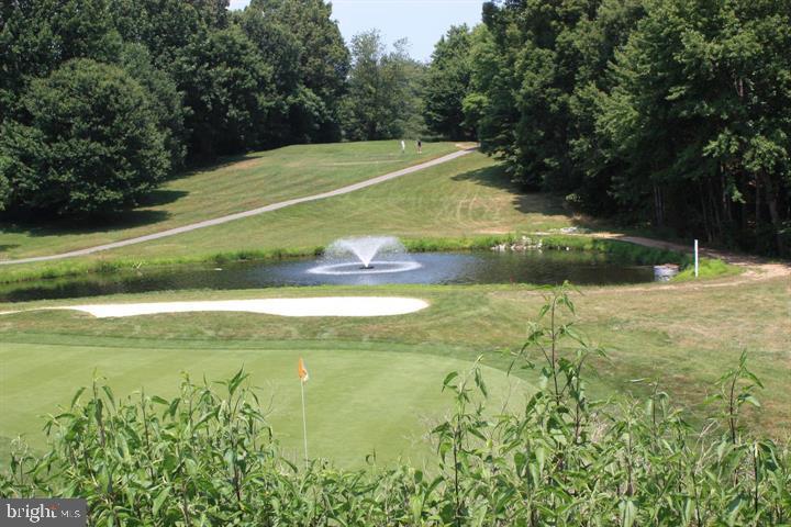 12012 GOLF RIDGE COURT 374