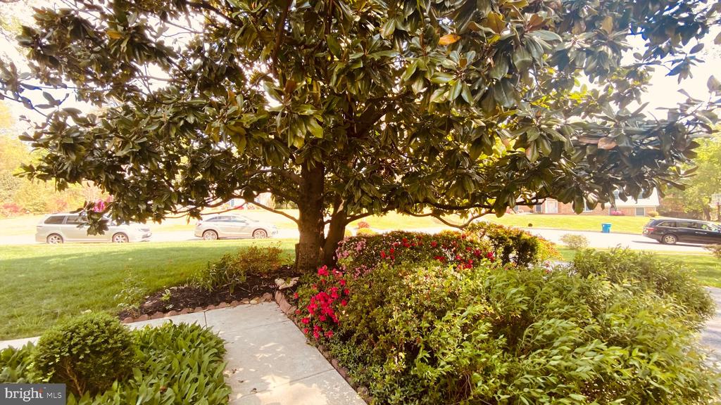 9203 SHARI DRIVE