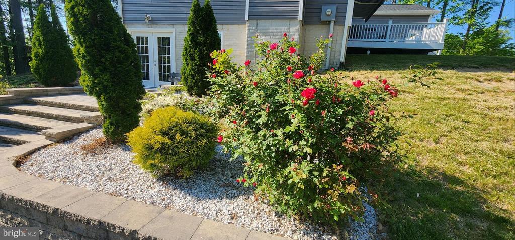 8207 BUCKTHORNE RUN