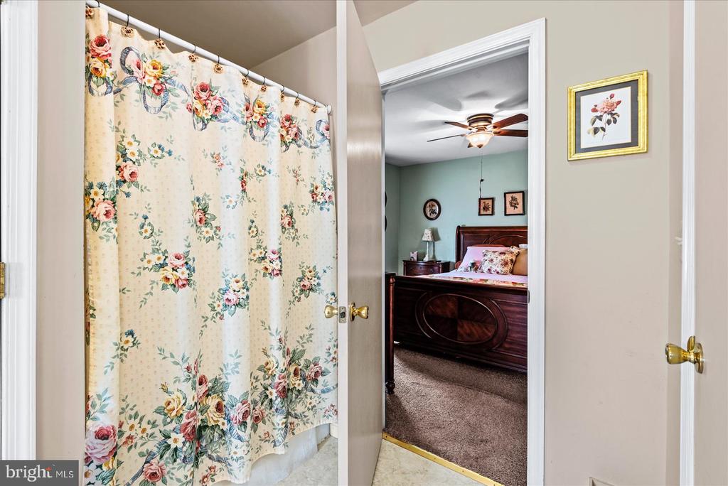 11062 CARLETON DRIVE