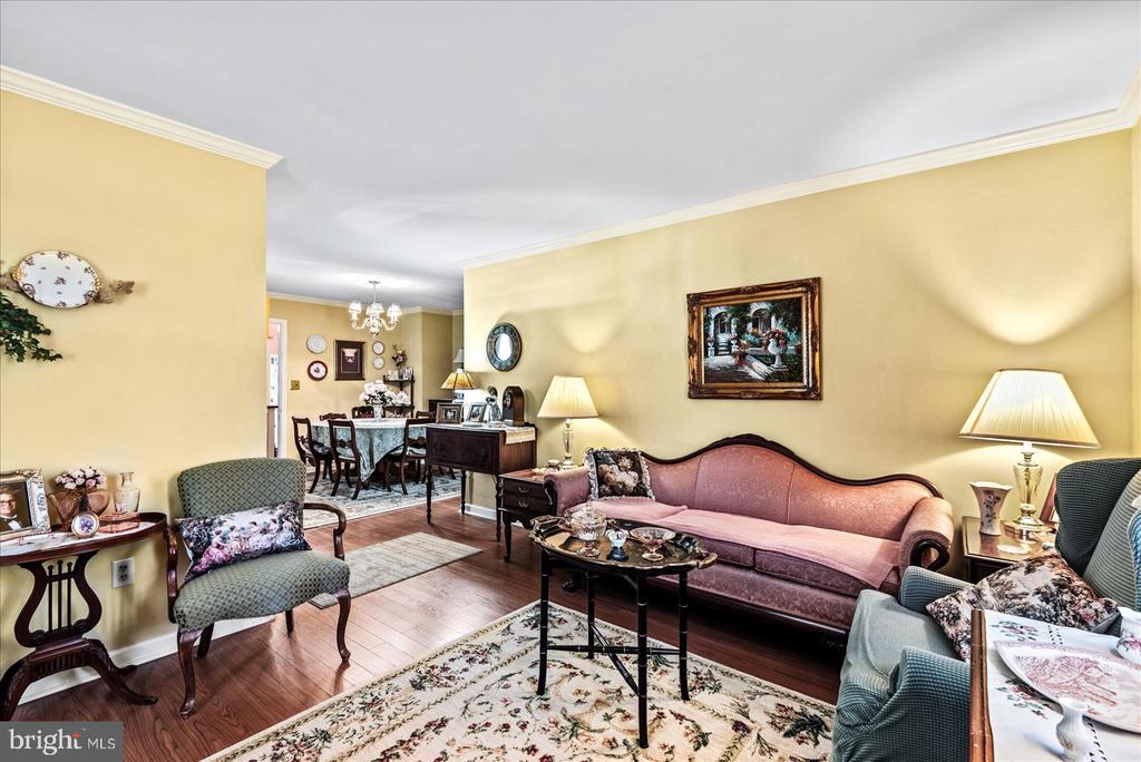 11062 CARLETON DRIVE