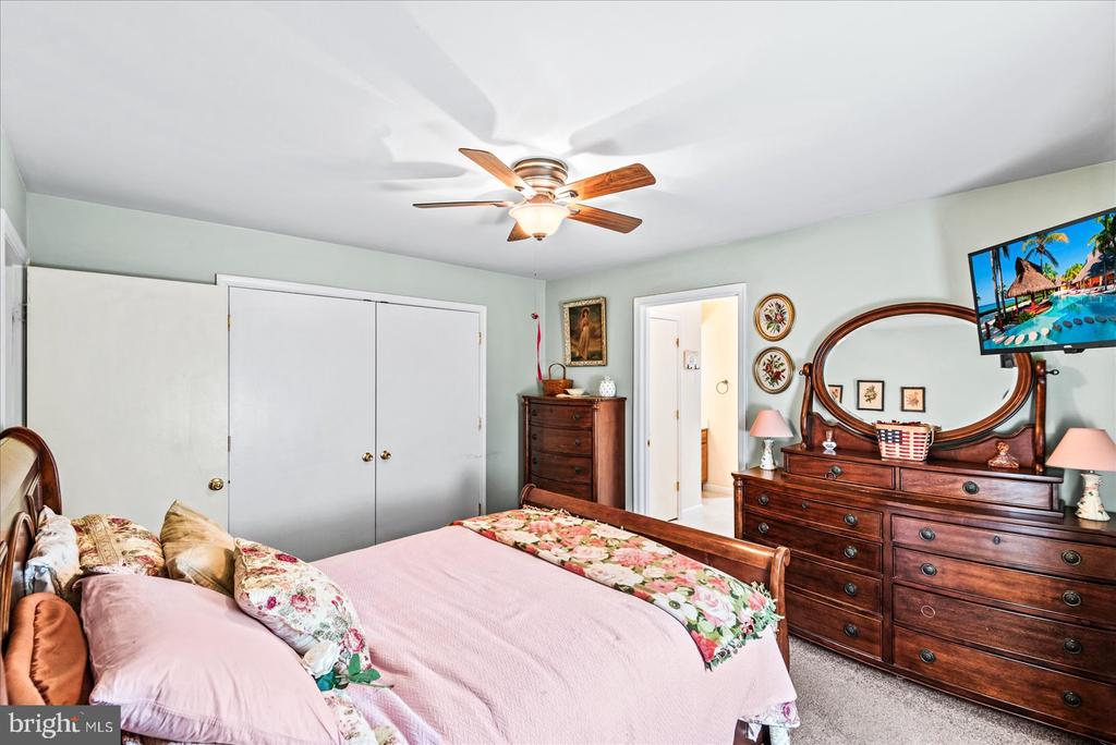 11062 CARLETON DRIVE