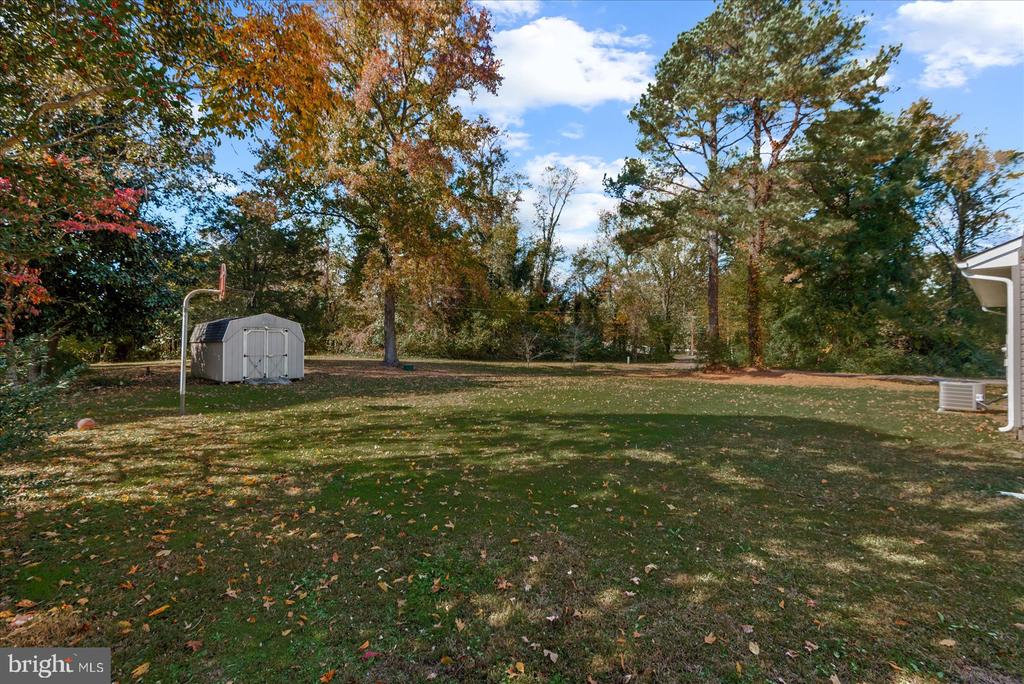 11062 CARLETON DRIVE