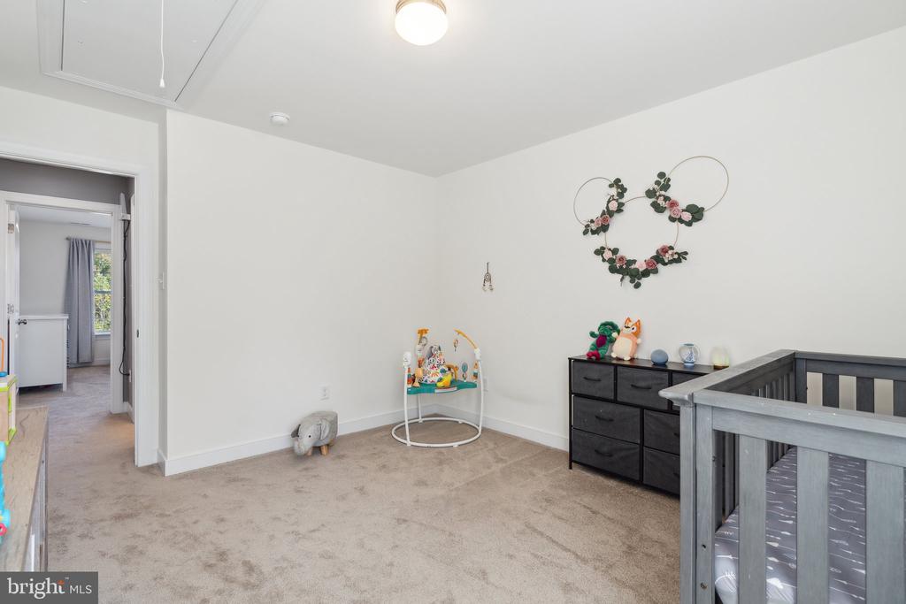 206 ELIZA LANE