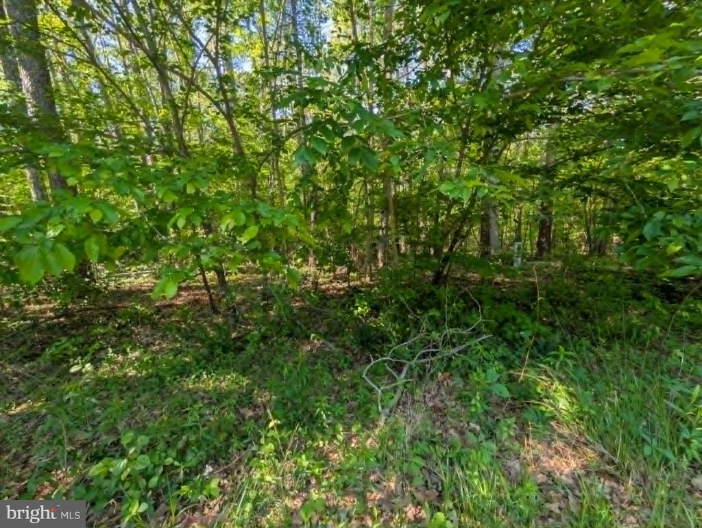 Lot 31 BELMONT LANE