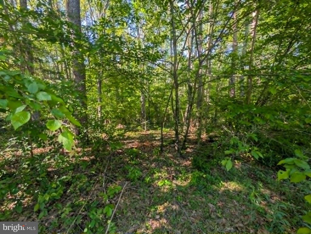 Lot 31 BELMONT LANE
