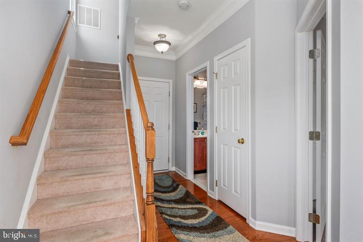 42609 PINE FOREST DRIVE