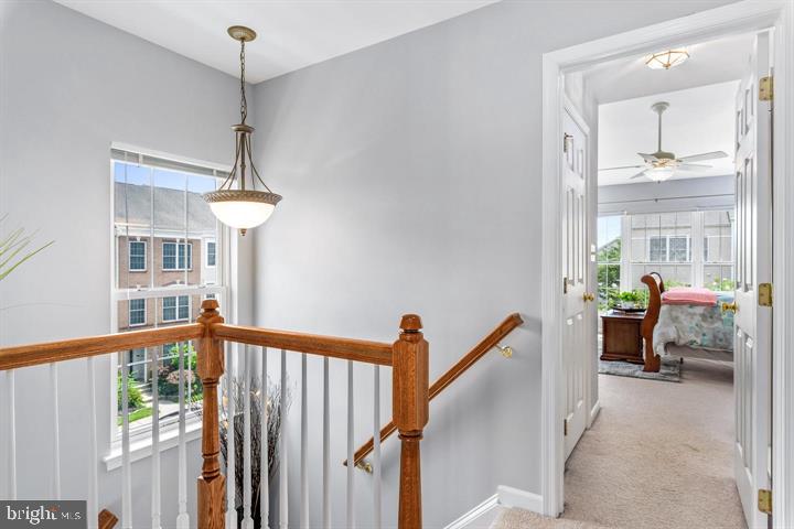 42609 PINE FOREST DRIVE