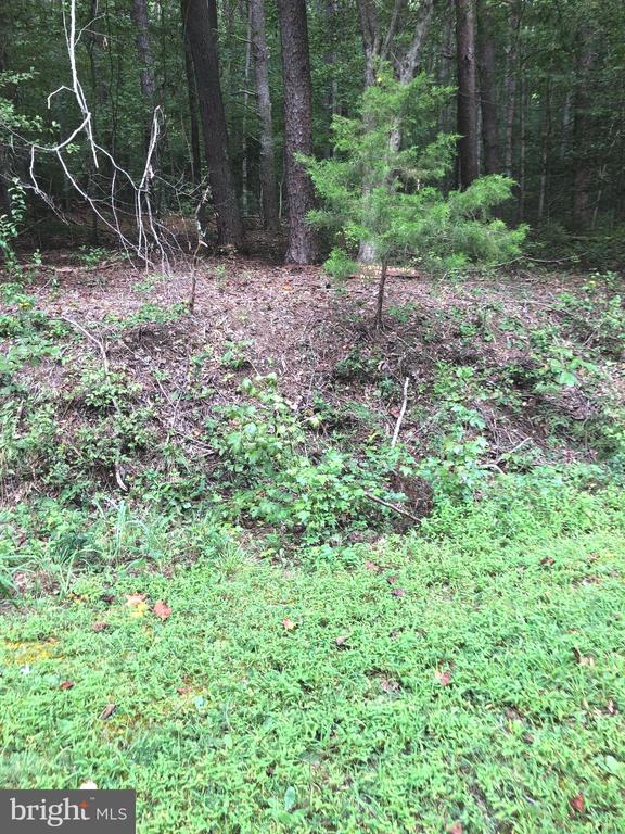 Lot 18 KNIGHTS LANDING