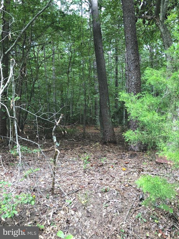 Lot 18 KNIGHTS LANDING