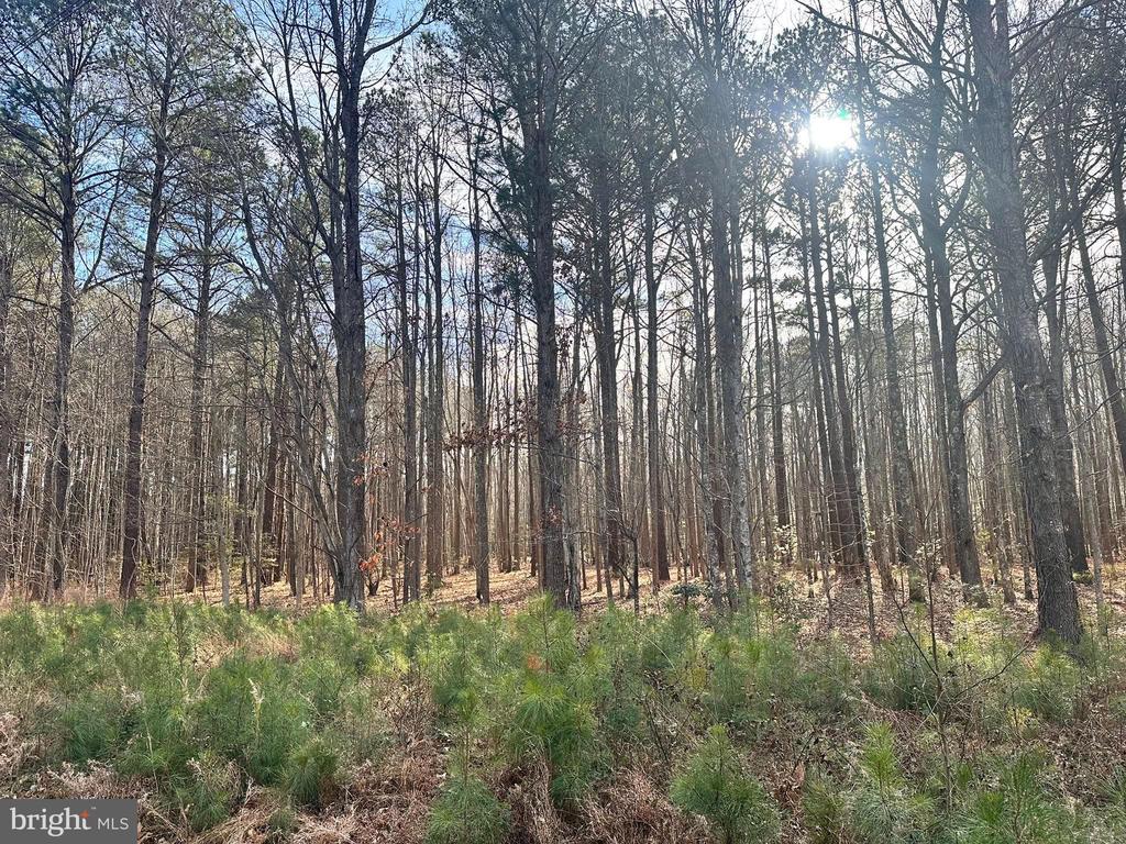 78 CUBITT CREEK ROAD