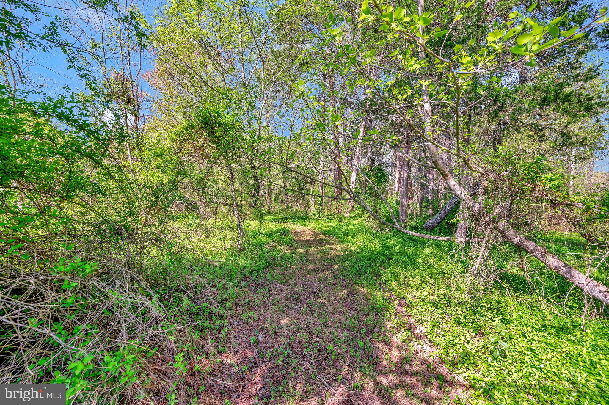 23076 WALKERS BRANCH ROAD